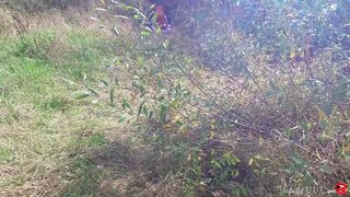 ���ម្លែកដេ Catwoman ក្នុងមាត់បន្ទាប់ពីពឹងនៅក្នុងព្រៃ